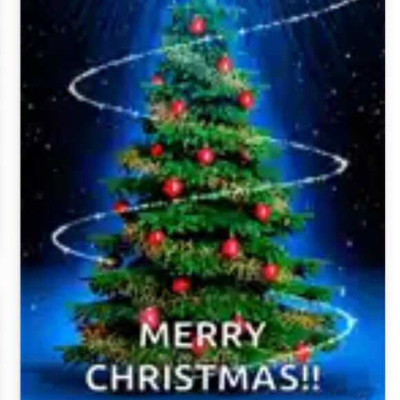 HAPPY HOLIDAYS! & HAVE A HAPPY & BLESSED NEW YEAR! - Picture 1 of 2